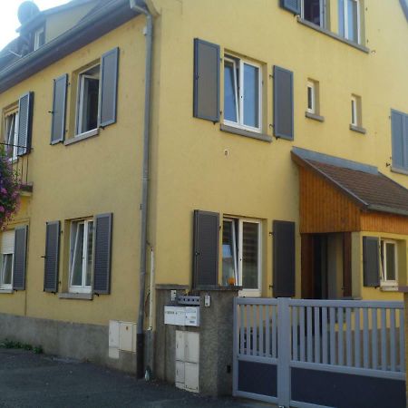 Gite Le Schnouki Ostheim Kültér fotó